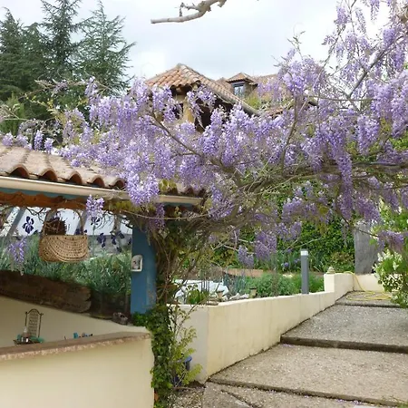 D'hote L'orchidee مييو